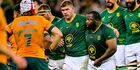 Springboks dominate World Rugby award nominations