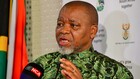 Failure to change public sentiment will hurt ANC, warns Mantashe