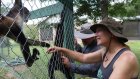 She built a sanctuary for monkeys. It’s now a haven for veterans with PTSD