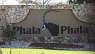 Trial of 3 accused in South Africa's 'farmgate' case gets underway