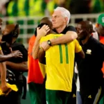 FIFA World Cup: Ticket info for Bafana Bafana fans