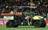 Two Boks in doubt for Pumas double-header