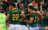 One Springbok refuses to slip quietly into retirement