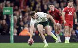 Brilliant Boks demolish Dragons
