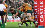 Springboks player ratings: ‘Ice Man’ Pollard slays Wallabies