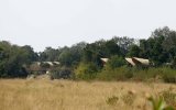 Kenyan activist tries to block new Ritz-Carlton safari lodge opening