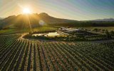 A VINE TIME | Cavalli Estate’s luxury focus echoed in the journey of its wine cellar