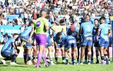 Bulls coach named on bench
