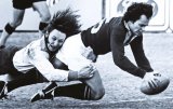 Springbok great dies