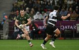 Springboks eye coastal warm-up