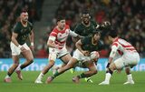 2025 Boks: Brave Blossoms blown away