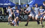 Schools wrap: Paarl heavyweights flex muscles