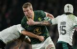 ‘Springboks are freaking immense’