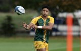 Mallett: Twickenham to test Sacha’s maturity