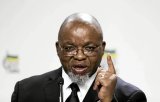 Gwede Mantashe appointed as acting police minister