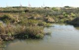 Metro races to fix sewerage fault that shuts down Kings Beach