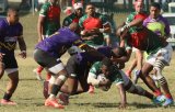 Gardens must pull out all the stops, says Daniels