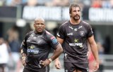 Big guns return for Sharks
