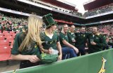Expect empty seats at Ellis Park for Bok Test