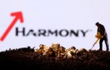 Worker killed at Harmony’s Joel mine in the Free State
