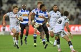 Stormers show grit, Sharks stuck in rut