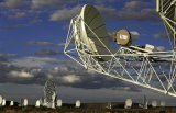 Scientists want astronomy-linked conditions on Starlink's SA licence deal