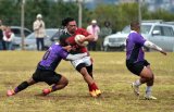 Rampant Gardens out to tame Barbarians