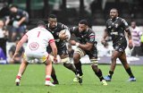 Sharks need mindset switch, says Plumtree