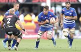 Stormers’ Bok duo to shake off the rust