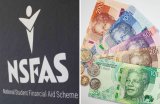 NSFAS board chairperson resigns