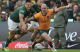 Wallabies suffer double injury setback