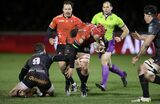 Lions brace for resurgent Bulls