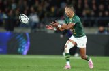 Mallett: Manie steered Boks superbly