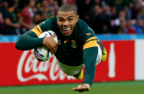 Springbok legend: Bryan Habana
