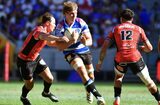 Roos puts Bok ambition on the back burner