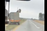 WATCH: Lion escapes from transit vehicle in the North West