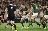 Back-to-basics Boks can bounce back