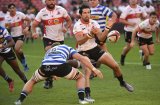 Frans: Zander brings strong presence to Cheetahs