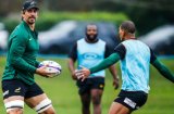 Early retirement for key Springbok? No chance!