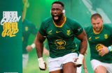 Springboks vs Argentina at Twickenham – Fan pics