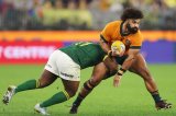 Wallaby heavy vows to fight fire with fire