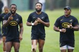 Another Bok to land of rising sun?
