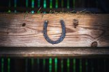 I Just Learned Why Horseshoes Are Really Considered Lucky, And It's Dark