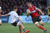 Stormers newbie Ackermann champing at the bit