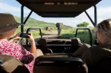 Capture the Wild in Style—Smartphone Safari Photography Tips