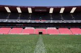Springboks fail to sell out Ellis Park