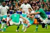 Is there any way back to Springboks for Faf de Klerk?
