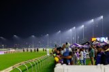 Hollywoodbets Durban July: 29 horses remain in the running