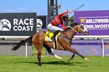 Hollywoodbets Kenilworth comes alive with Klopse vibes at the Hollywoodbets Cape Guineas