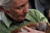 World reacts to chimpanzee expert Jane Goodall’s death